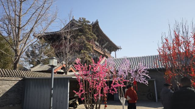 独乐寺旅行图片 2