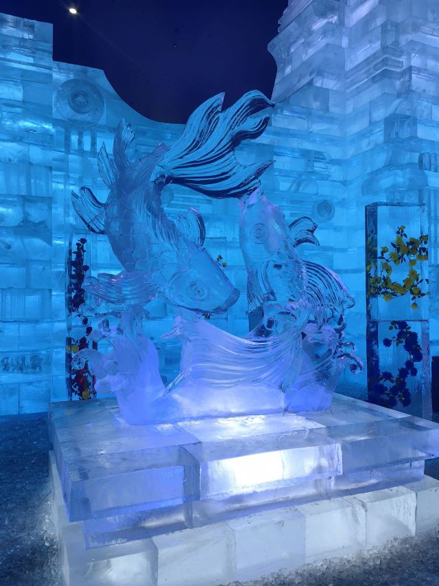 哈尔滨冰雪大世界文创旗舰店旅行图片 2