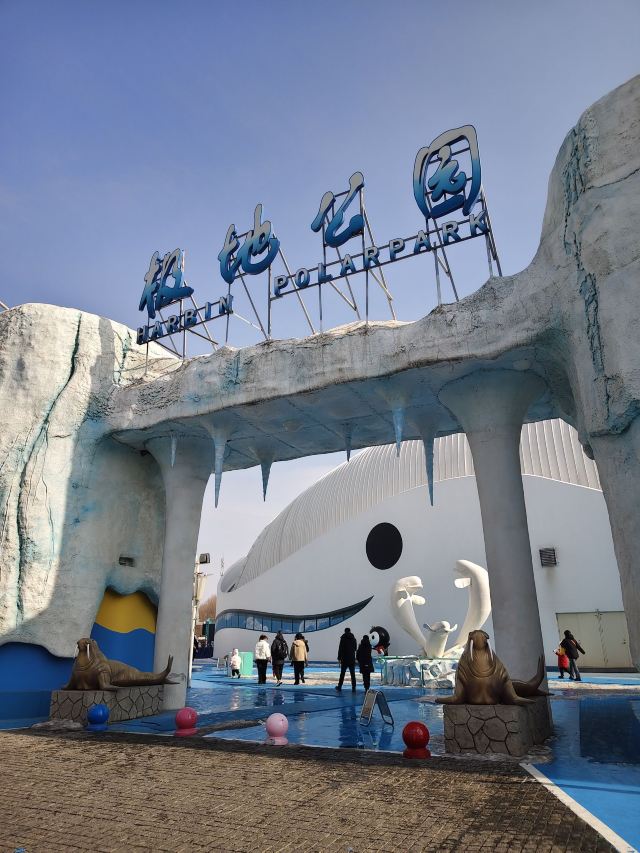 哈尔滨极地公园旅行图片 2