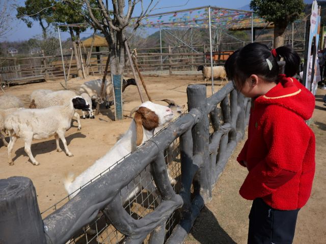 九江野生动物世界旅行图片 3