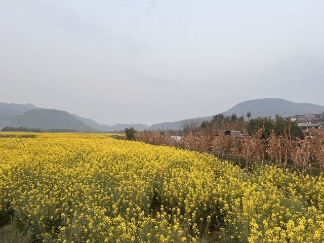和顺古镇景区旅行图片 4
