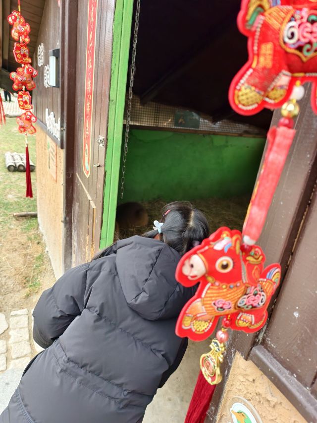 上海野生动物园旅行图片 1