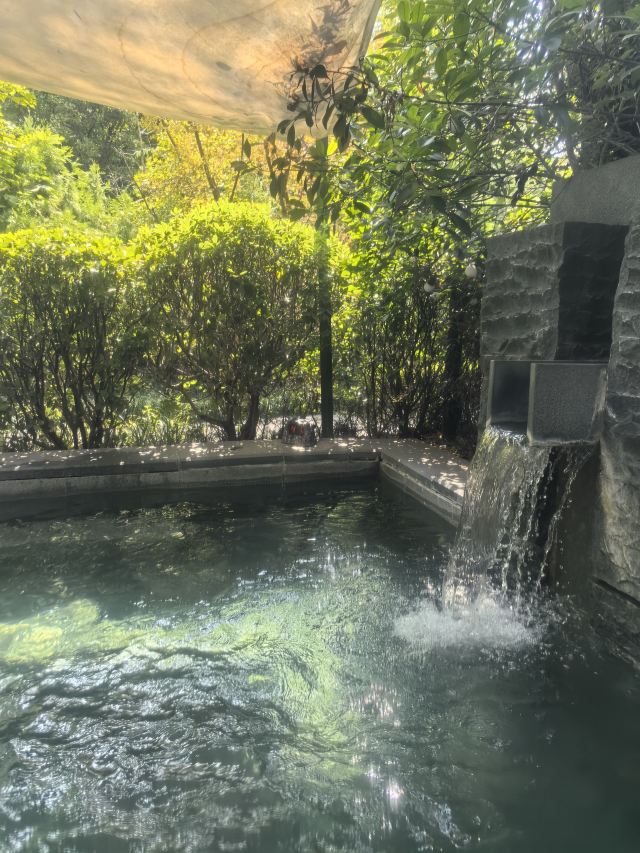 西安临潼悦椿温泉旅行图片 1