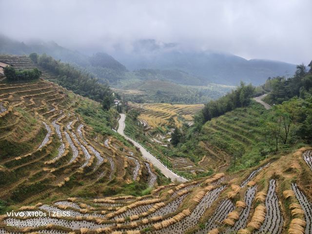 桃源梯田景区旅行图片 3