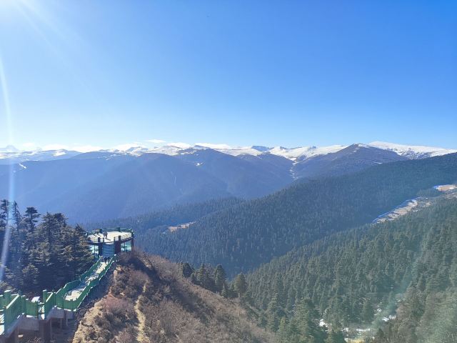 鲁朗林海风景区旅行图片 7