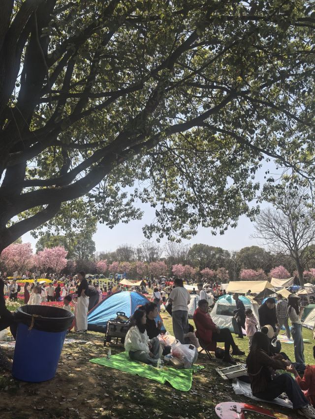 江西省凤凰沟风景区旅行图片 1