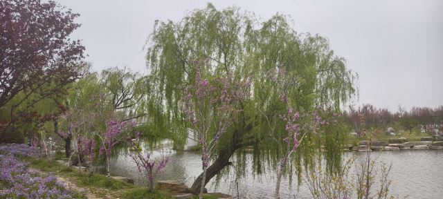 南通洲际梦幻岛旅行图片 2