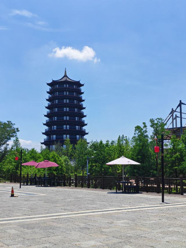 皂河龙运城旅行图片 2