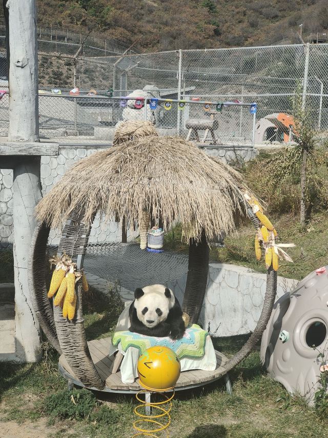 林胡古塞旅行图片 1