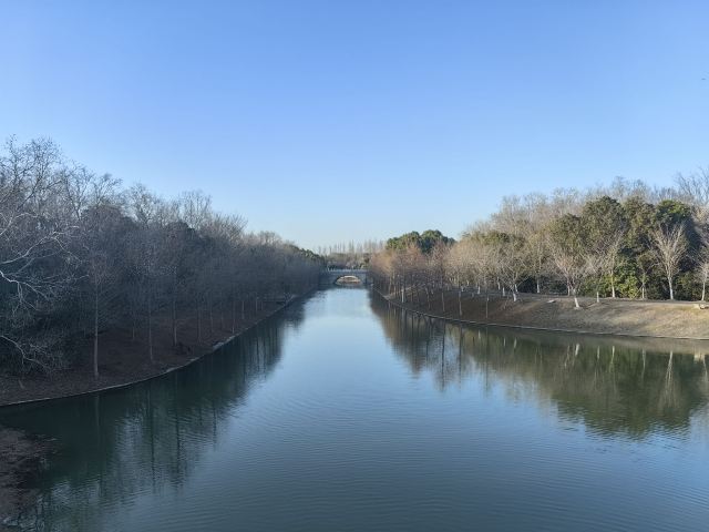 上海海湾国家森林公园旅行图片 1