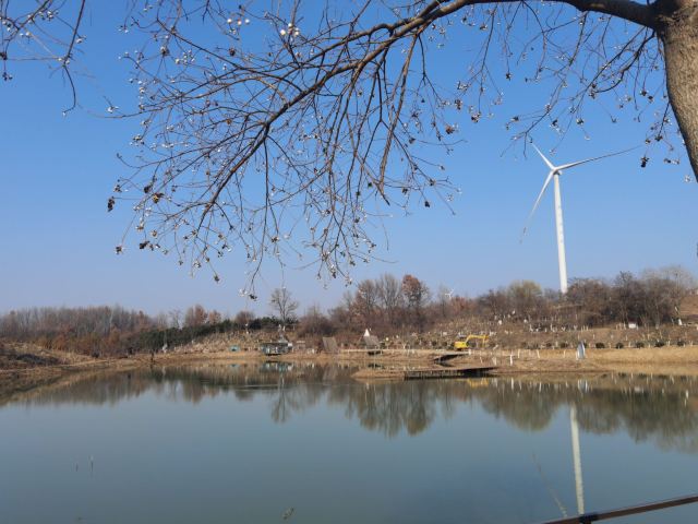 雨花石地质公园旅行图片 3