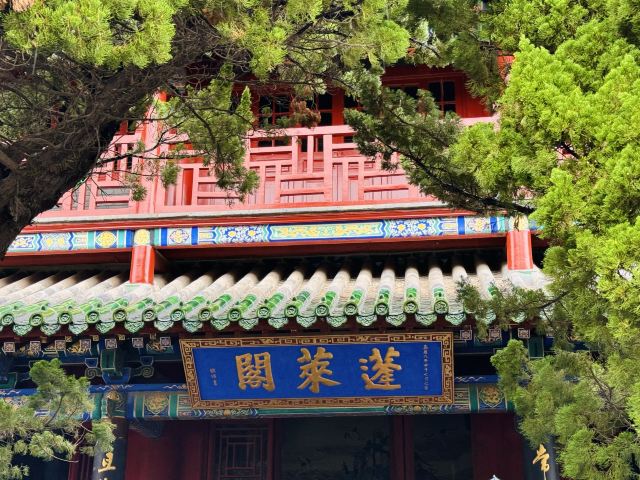 蓬莱阁景区旅行图片 2