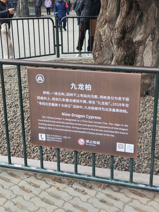 天坛公园旅行图片 6