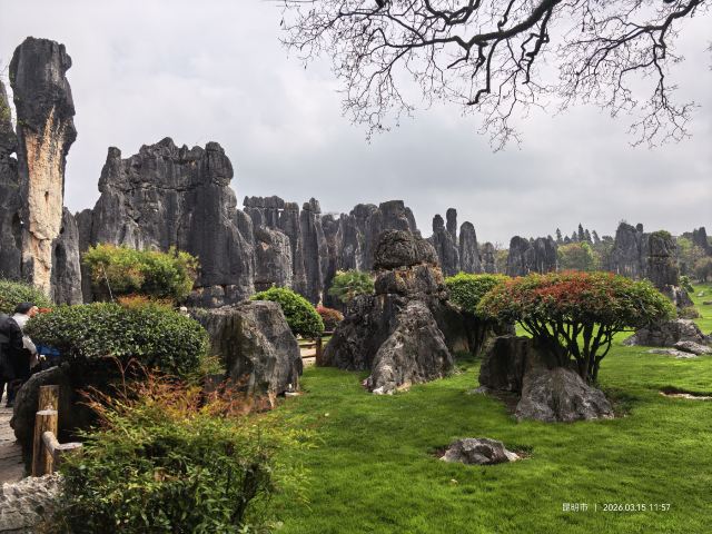 石林风景区旅行图片 1