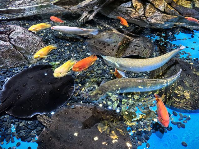 中国·江豚湾旅行图片 5