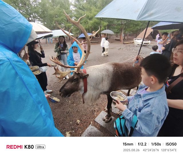 长白山雪绒花驯鹿园旅行图片 5