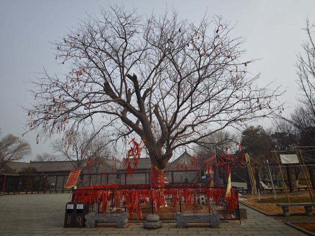 康百万庄园旅行图片 1
