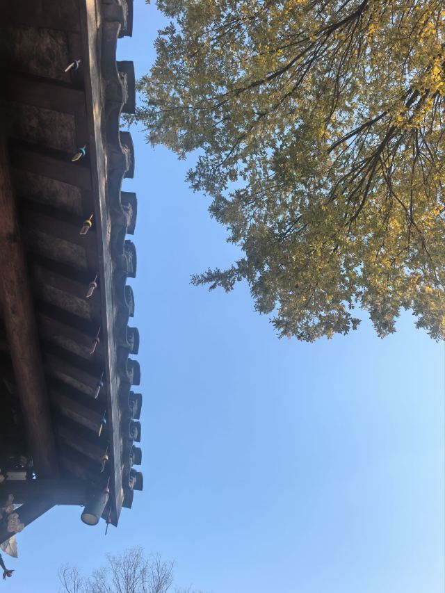 东方盐湖城·道天下景区旅行图片 1