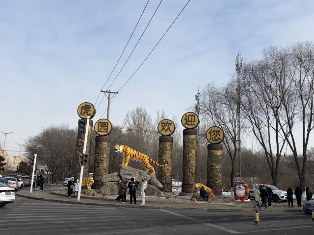 东北虎林园旅行图片 5