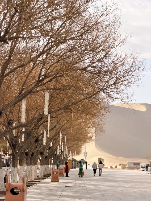 鸣沙山月牙泉旅行图片 3