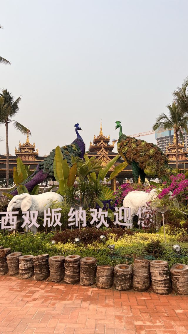 白象沙滩旅行图片 2
