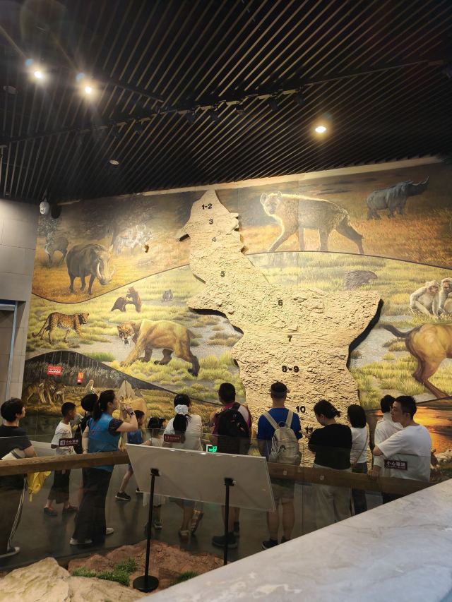 周口店遗址-北京猿人遗址旅行图片 3
