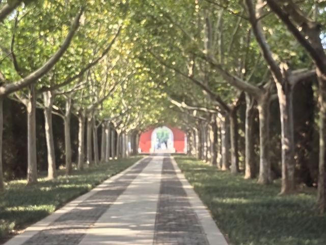 明祖陵旅行图片 3
