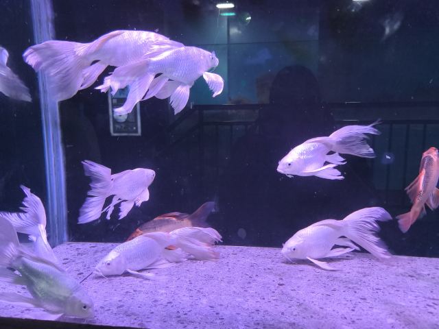广汉海昌海洋探索馆旅行图片 1