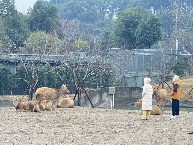 湖南常德野生动物世界旅行图片 1