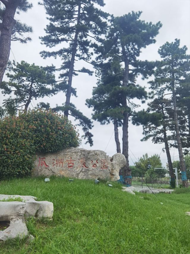 扬州古运河水上游旅行图片 8