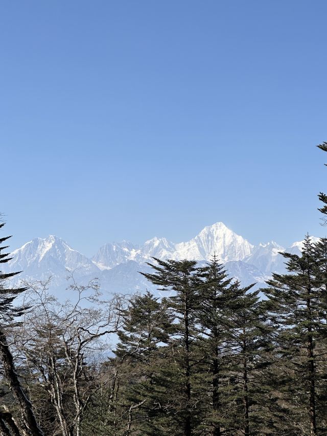 王岗坪旅游景区-露营区旅行图片 4