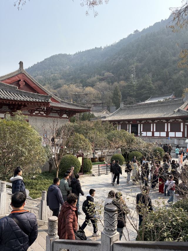 华清宫旅行图片 2