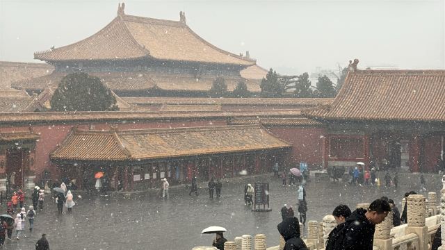 故宫博物院旅行图片 3