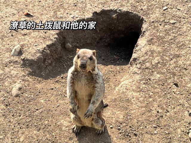 牡丹江珍稀动物园旅行图片 6