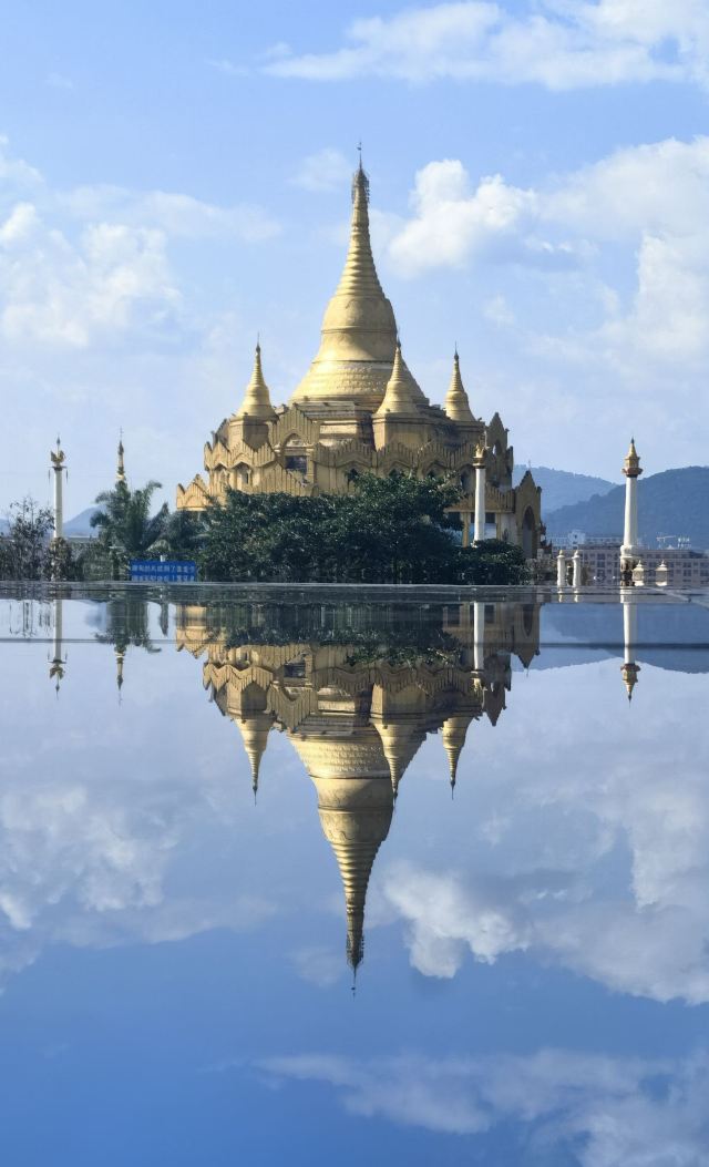 西双版纳独树成林景区旅行图片 8