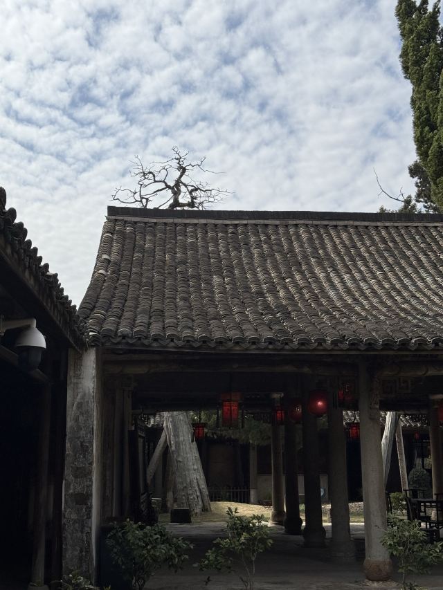 江南第一家旅行图片 4
