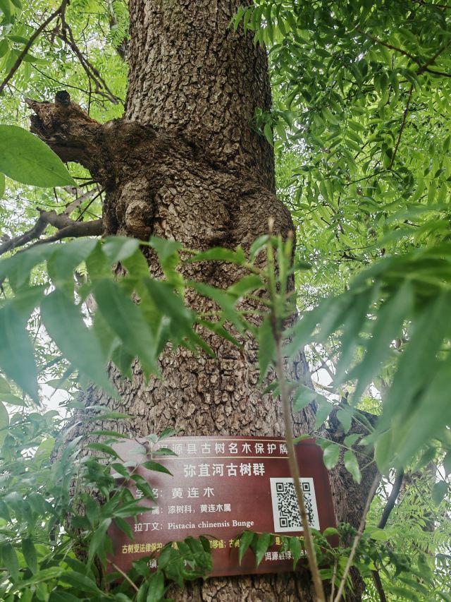 大理西湖旅行图片 2