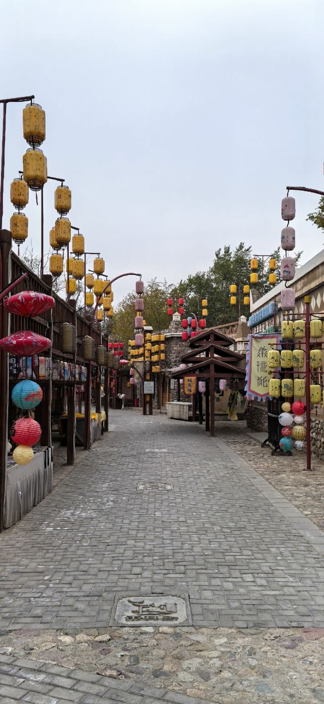 西夏风情园旅行图片 4