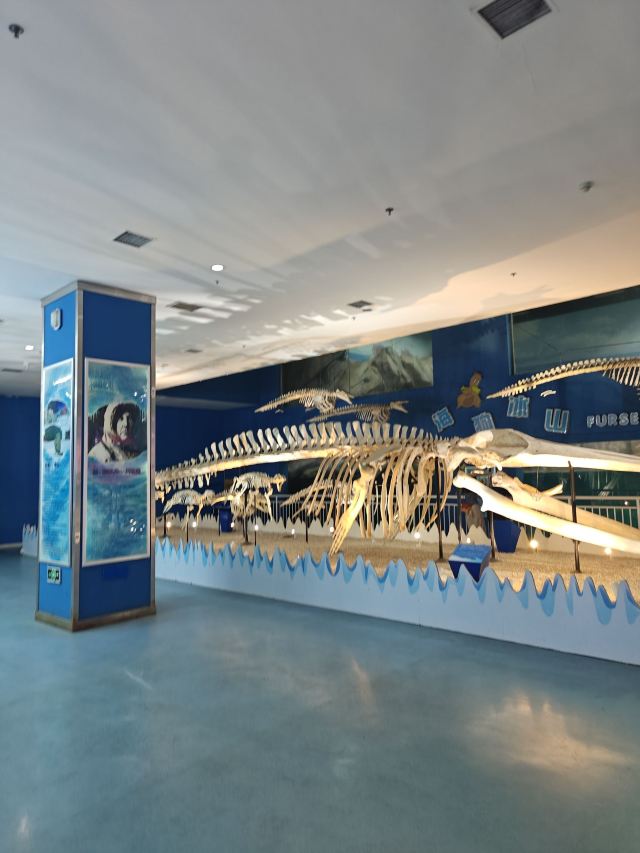 曲江海洋极地公园旅行图片 3