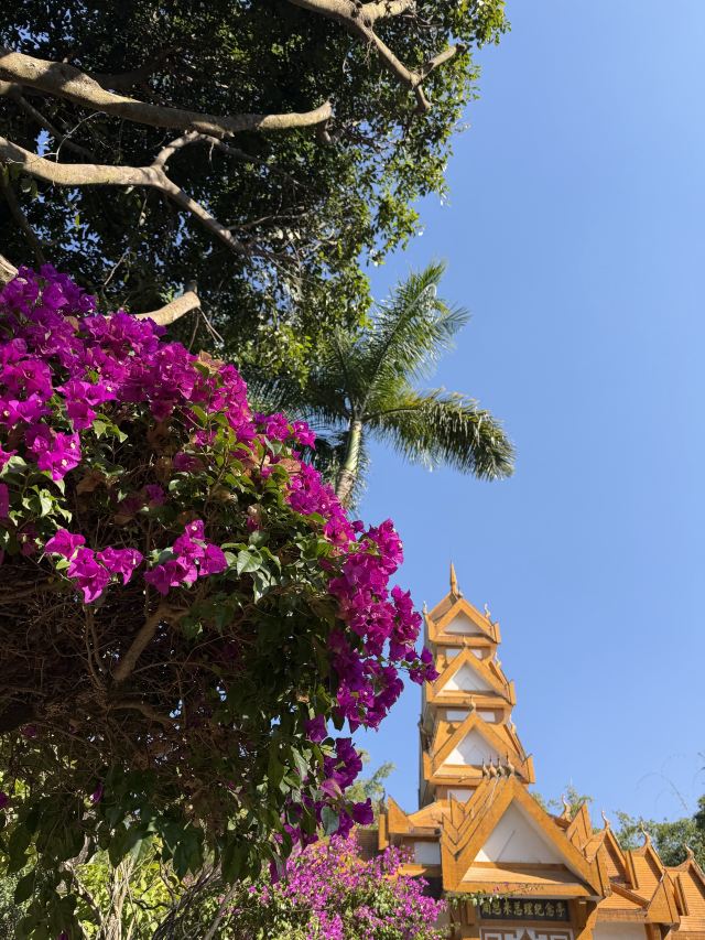 勐巴娜西珍奇园旅行图片 3