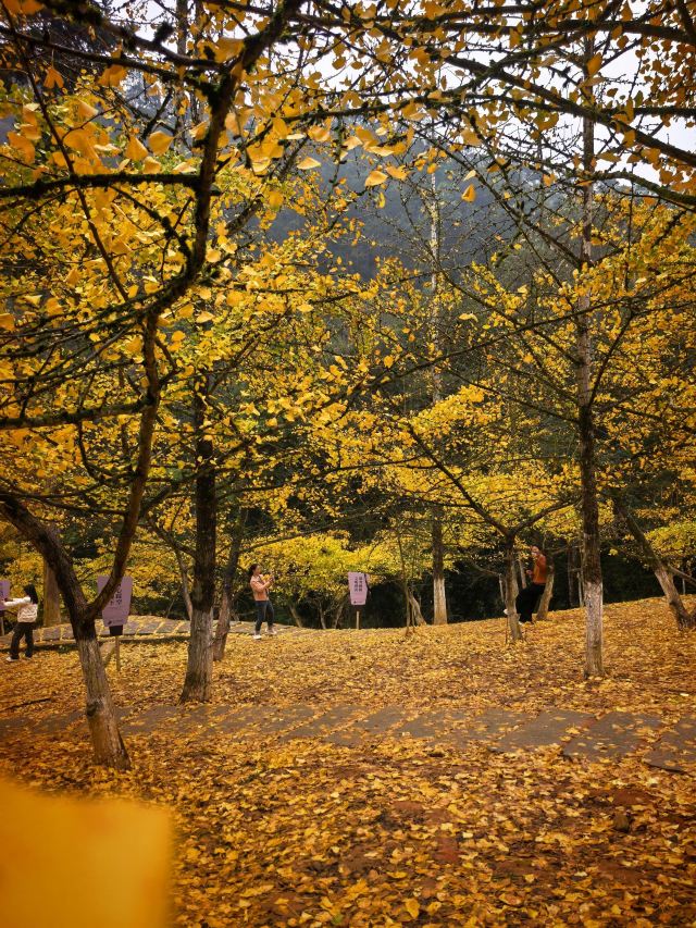 南雄帽子峰旅游景区旅行图片 5