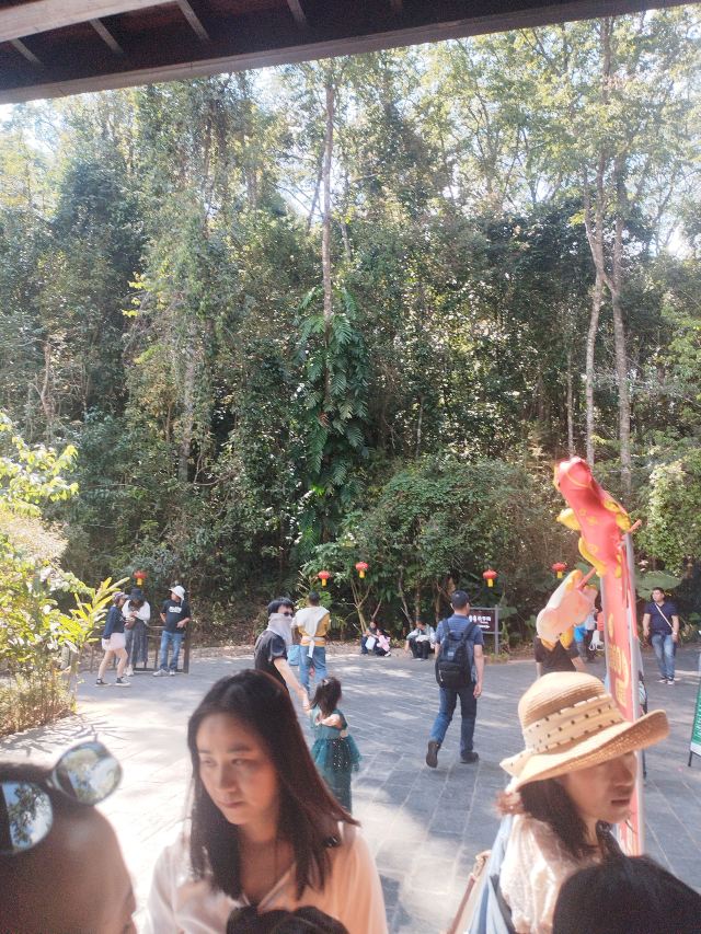普洱国家公园犀牛坪景区旅行图片 1