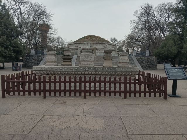 袁林旅行图片 8