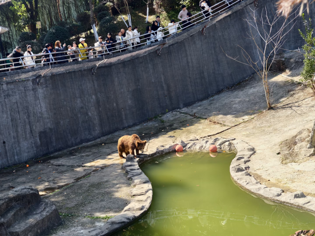 温州动物园旅行图片 1