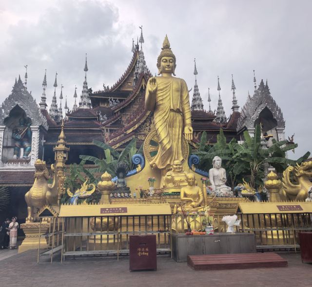 曼听御花园景区旅行图片 3