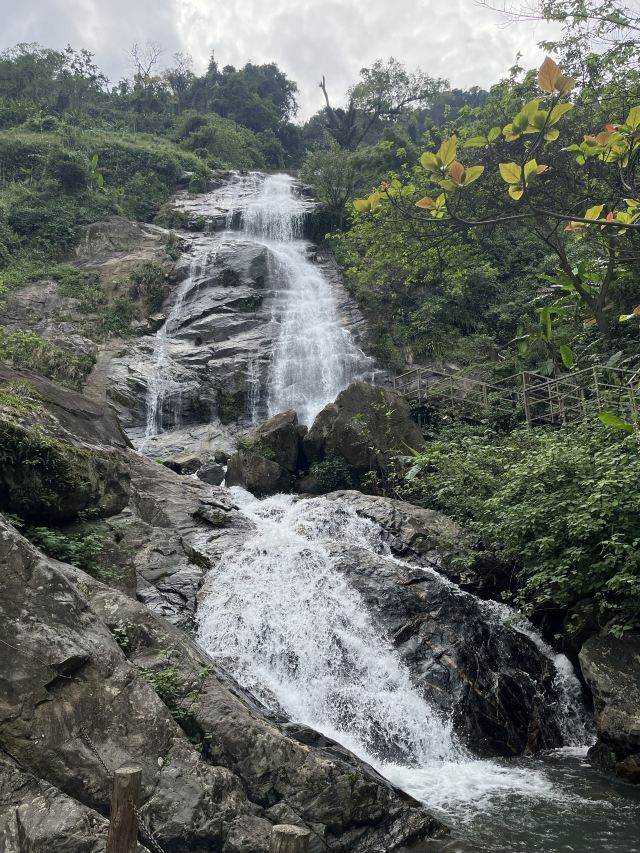 海南百花岭热带雨林文化旅游区-小卖部旅行图片 3