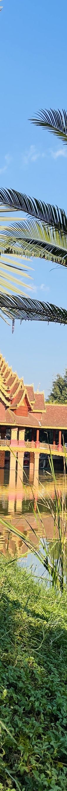 曼听御花园-景洪-YoYo_0J8K0U6C