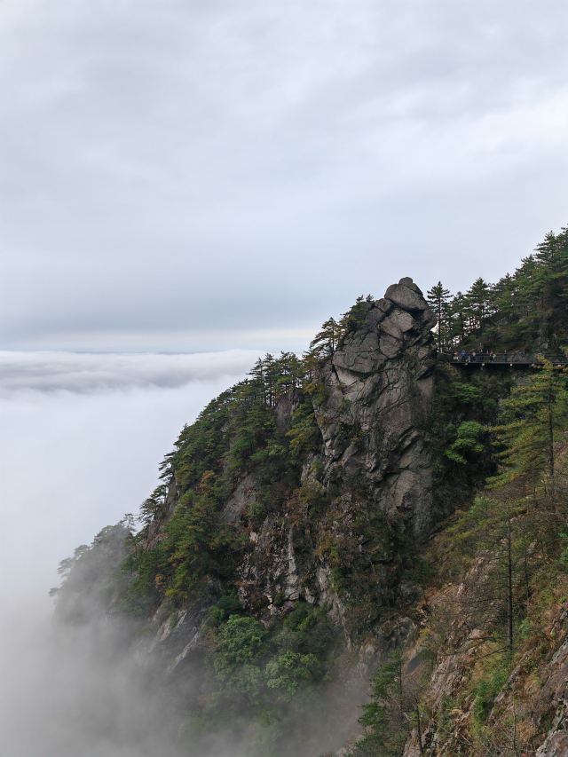 天岳幕阜山森林公园旅行图片 9