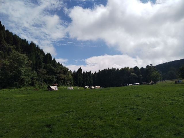 武陵山国家森林公园旅行图片 2