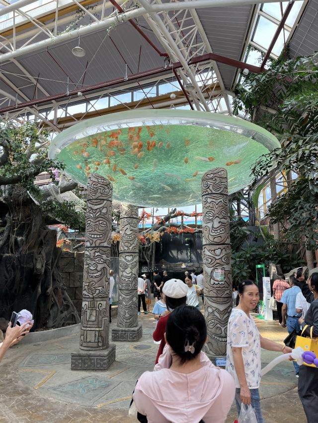 长沙湘江海洋王国旅行图片 1
